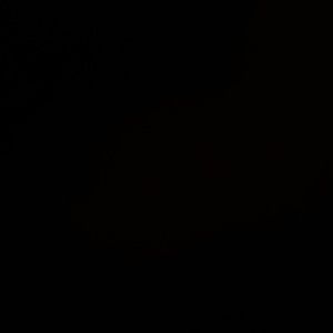 Meet your Posher, Ren